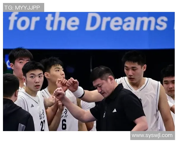 对话陈磊：回顾篮球生涯的辉煌与挑战分享